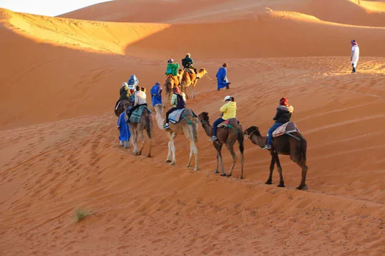 Get Your Guide In Morocco