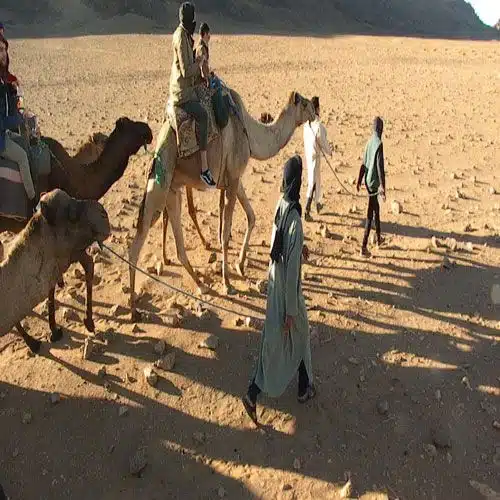 camel-trek-zagora Zagora Sahara Desert Tour Guide