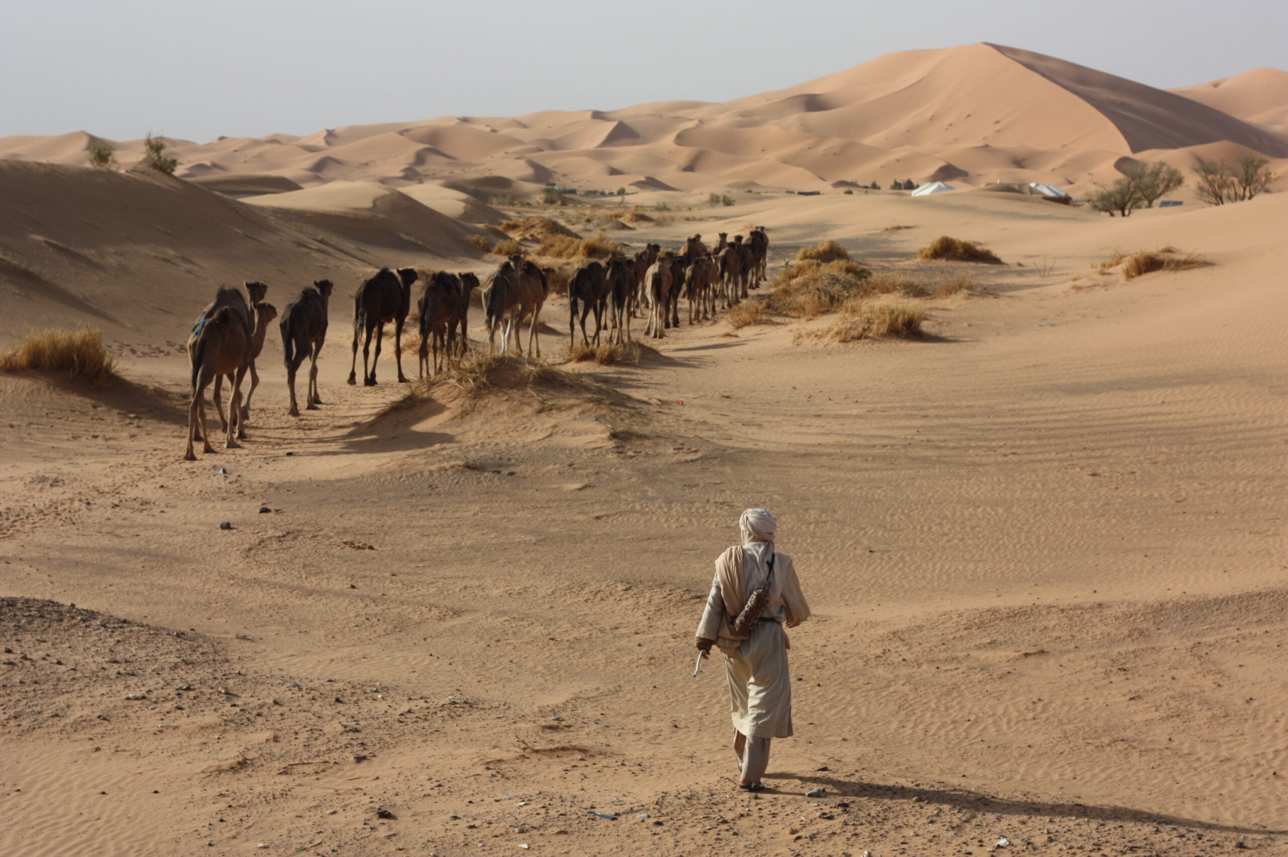 IMG_1843 2 Day Tour From Marrakech To Zagora