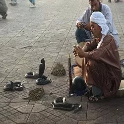 jamaa-el-fna tours from marrakech sahara desert