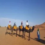 berber rugs and carpets